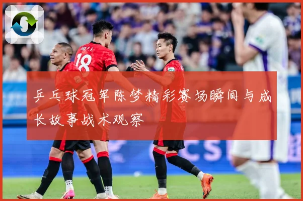 乒乓球冠军陈梦精彩赛场瞬间与成长故事战术观察