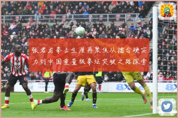 张君龙拳击生涯再聚焦从擂台硬实力到中国重量级拳坛突破之路探索