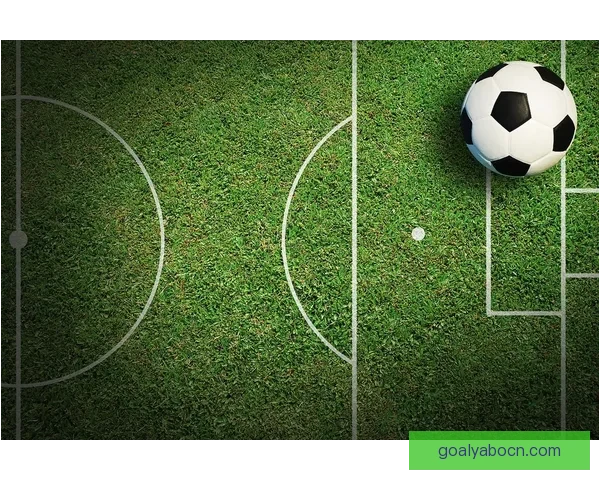 2026年世界杯将首次由三国联合举办 探索美国 加拿大 墨西哥的足球魅力